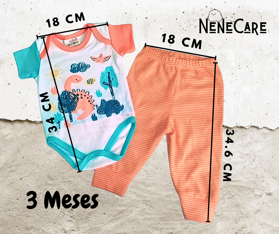 CONJUNTO DE 2 PIEZAS PARA BEBE