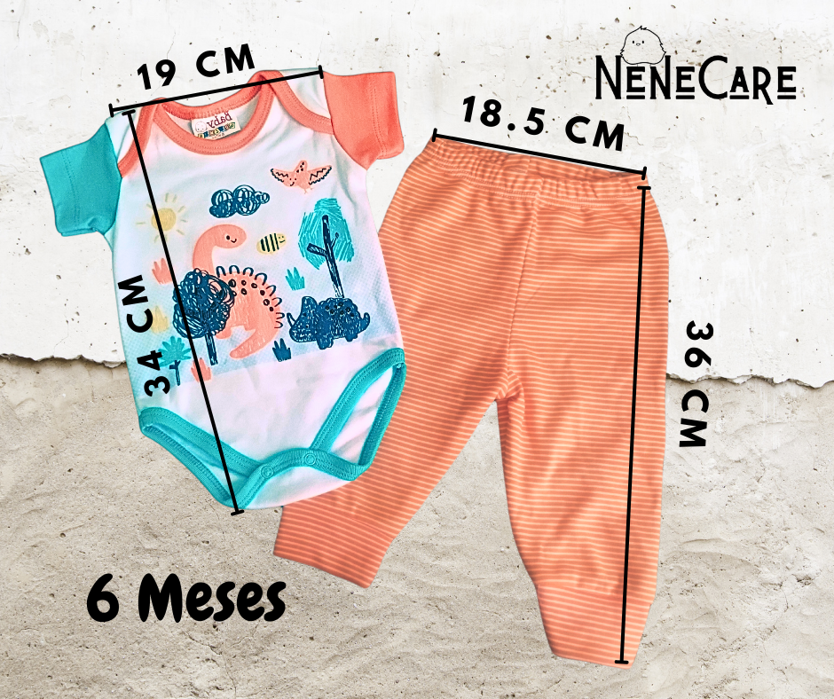CONJUNTO DE 2 PIEZAS PARA BEBE