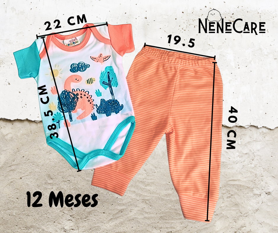 CONJUNTO DE 2 PIEZAS PARA BEBE
